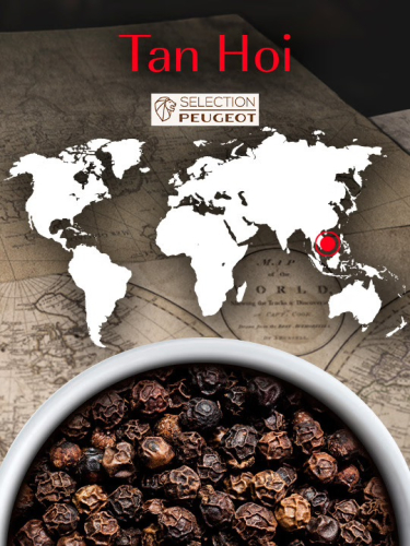Pepper, Sort Tan Hoi, 80 g, Vietnam - Peugeot