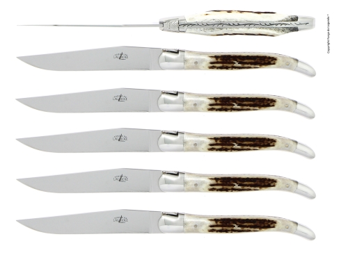 Seks kniver, skaft av hjortegevir, polert, Tradition - Forge de Laguiole