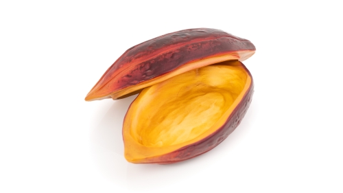 Serveringsfat, Cocoa Bean, 26 x 12 cm - 100 % Chef