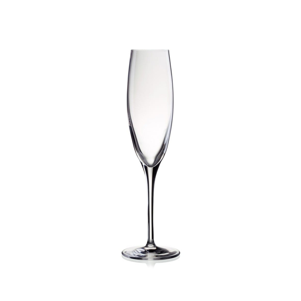 Champagneglass Penelopé 17 cl i gruppen Bar og Vin / Vinglass / Champagneglass hos The Kitchen Lab (1069-11129)