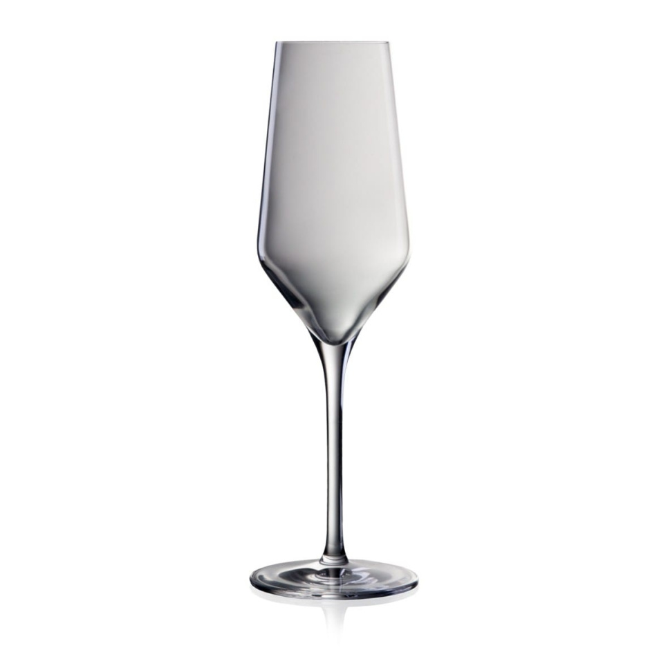 Champagneglas 240 ml, Bohemia Lucy i gruppen Bar og Vin / Vinglass / Champagneglass hos The Kitchen Lab (1069-12579)