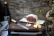 Gyuto, 21cm, Houcho - Satake