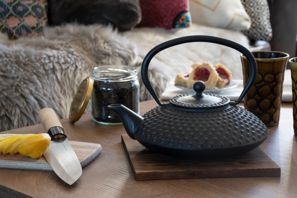 Japansk tekanne i støpejern - Satake