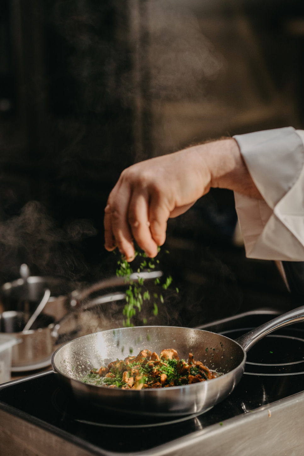  Rustfri stekepanne, Mathias Dahlgren - Culimat - 28 cm + 20 cm