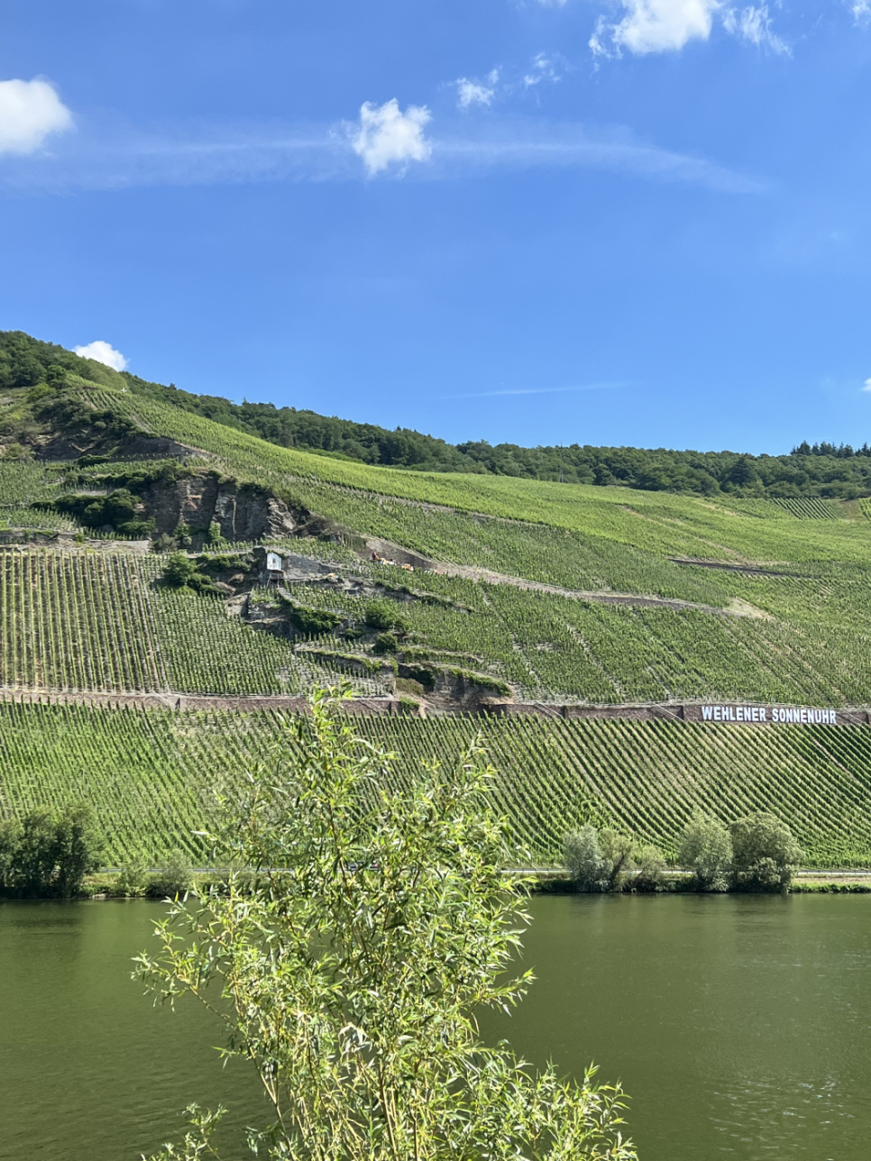 Riesling 4-pakning, + Mosel karaffel, Veritas - Riedel