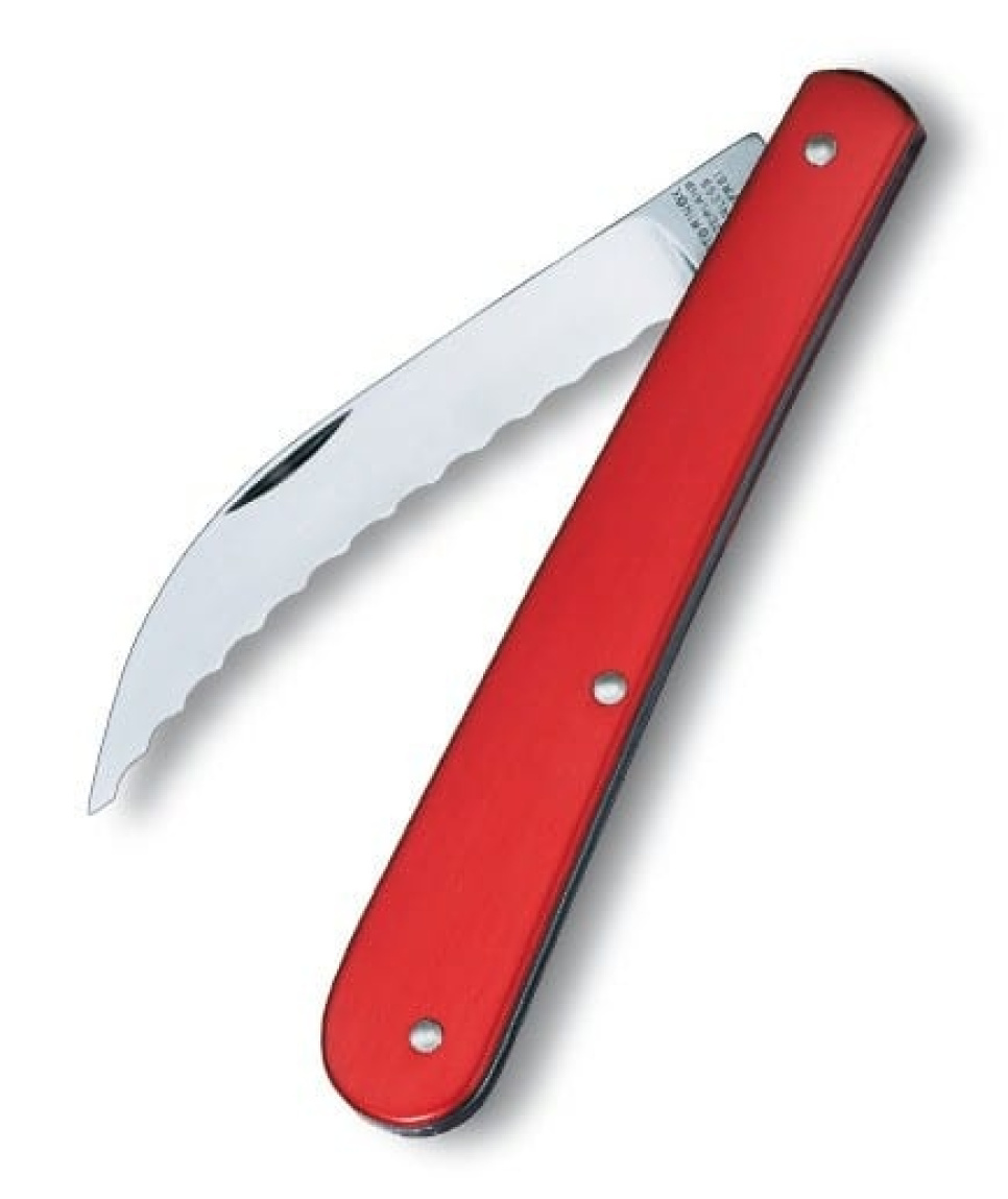Bakekniv, deigkniv, skjærekniv i gruppen Baking / Bakeredskaper / Deigskraper og deigkniver hos The Kitchen Lab (1095-11947)