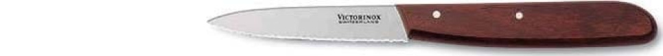 Skalkniv 8 cm, taggete, treskaft i gruppen Matlaging / Kjøkkenkniver / Skjærekniver hos The Kitchen Lab (1095-12291)