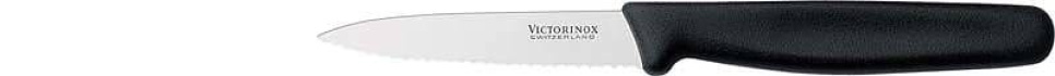 Skalkniv 8 cm, taggete, plasthåndtak i gruppen Matlaging / Kjøkkenkniver / Skjærekniver hos The Kitchen Lab (1095-23113)