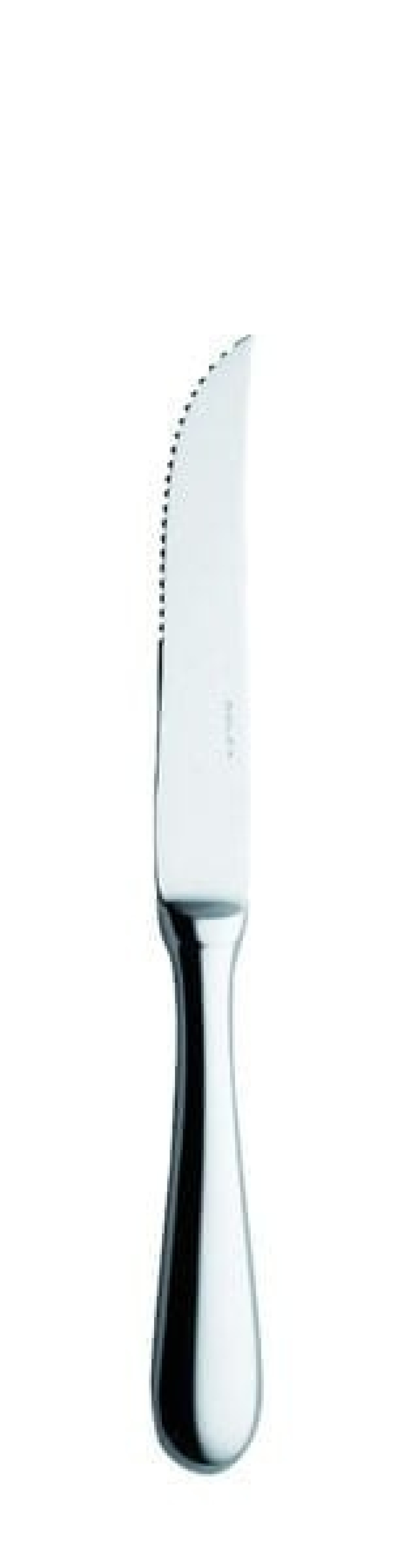 Baguette Kjøttkniv, hul, 235 mm i gruppen Borddekking / Bestikk / Kniver hos The Kitchen Lab (1284-14151)