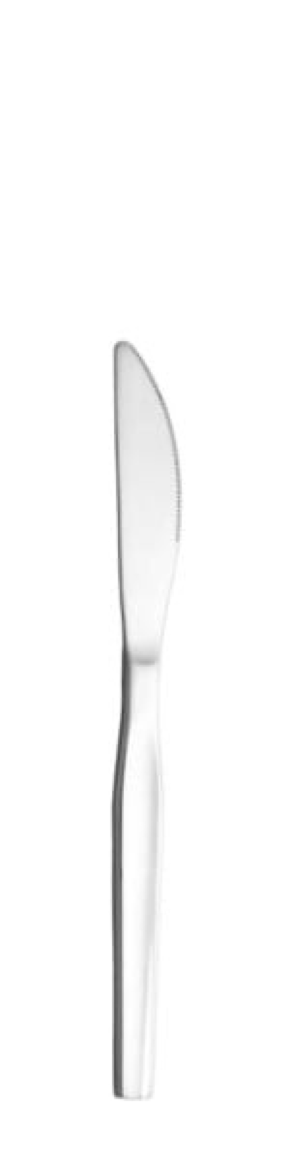 Skai Bordkniv 208 mm - Solex i gruppen Borddekking / Bestikk / Kniver hos The Kitchen Lab (1284-21627)