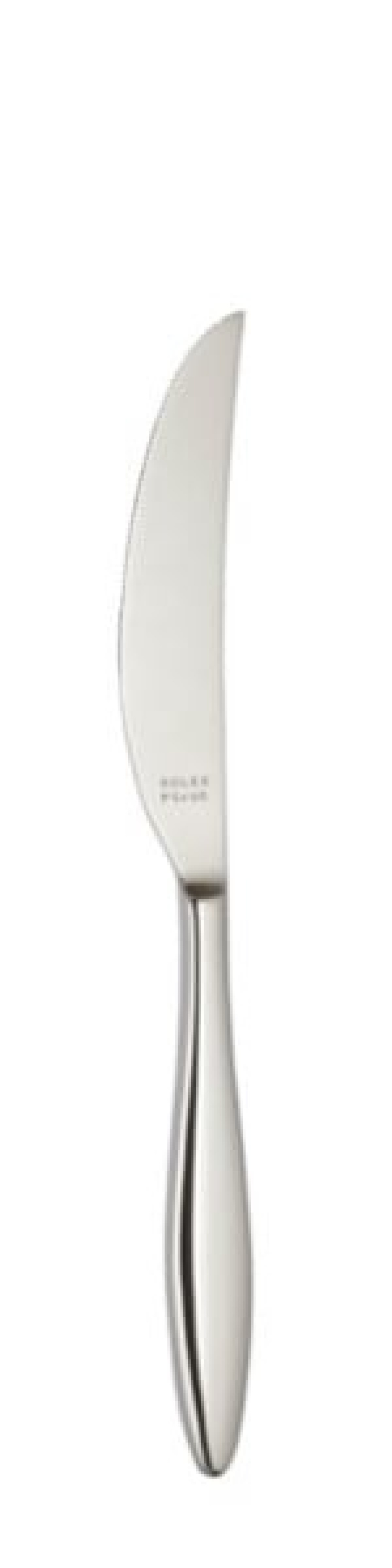 Terra Kniv 239 mm - Solex i gruppen Borddekking / Bestikk / Kniver hos The Kitchen Lab (1284-21645)