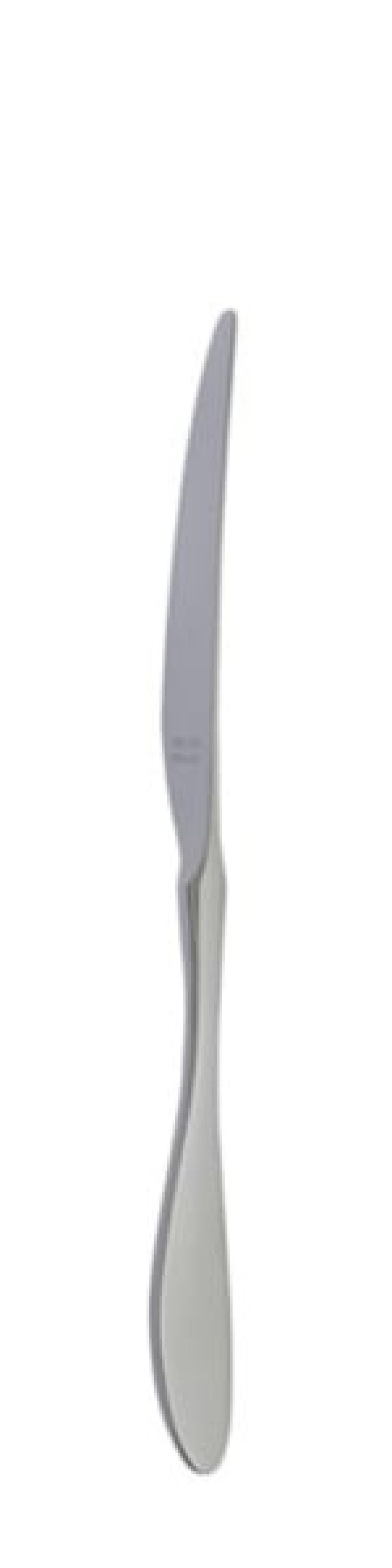 Terra Retro Bordkniv 239 mm - Solex i gruppen Borddekking / Bestikk / Kniver hos The Kitchen Lab (1284-21659)