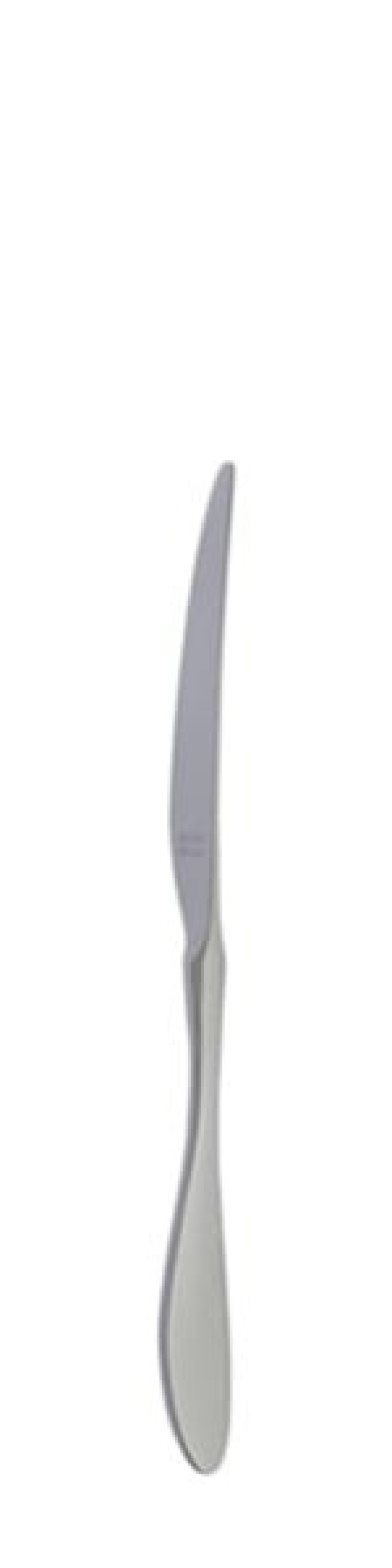 Terra Retro Dessertkniv 210 mm - Solex i gruppen Borddekking / Bestikk / Kniver hos The Kitchen Lab (1284-21660)