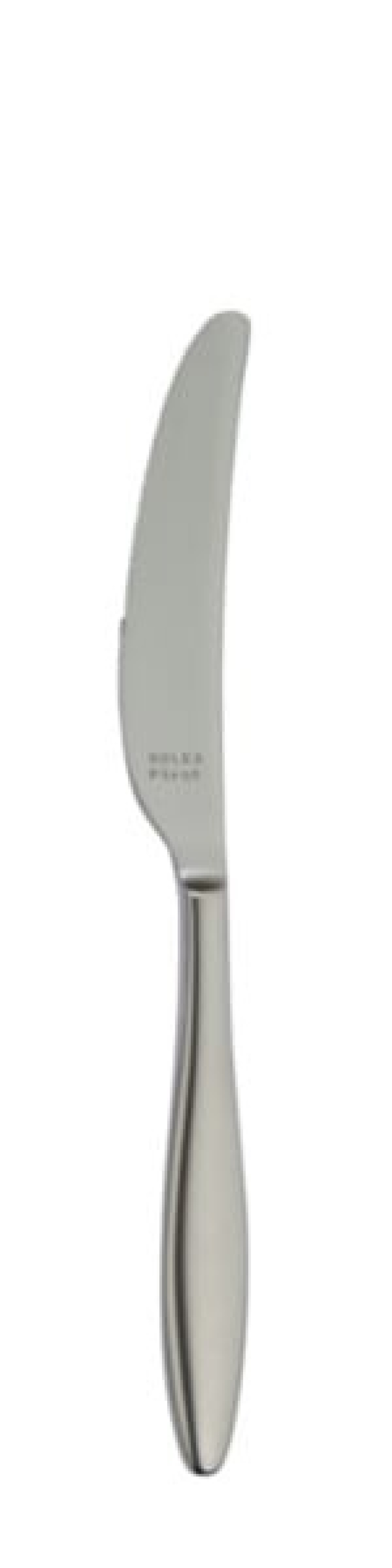 Terra Retro Bordkniv 240 mm - Solex i gruppen Borddekking / Bestikk / Kniver hos The Kitchen Lab (1284-21661)