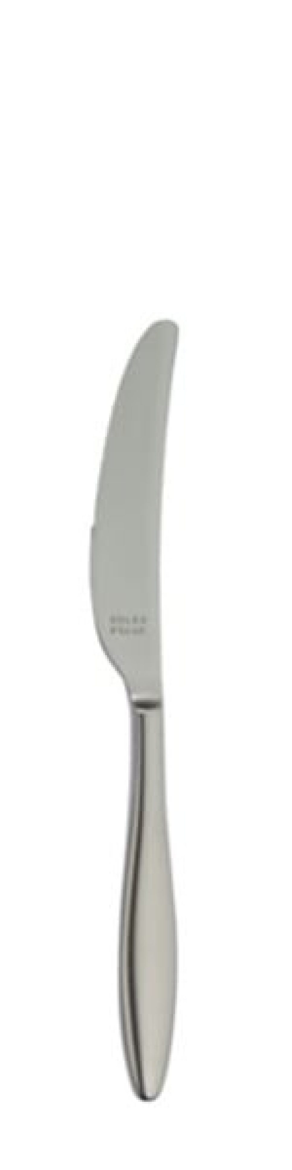 Terra Retro Dessertkniv 216 mm - Solex i gruppen Borddekking / Bestikk / Kniver hos The Kitchen Lab (1284-21662)