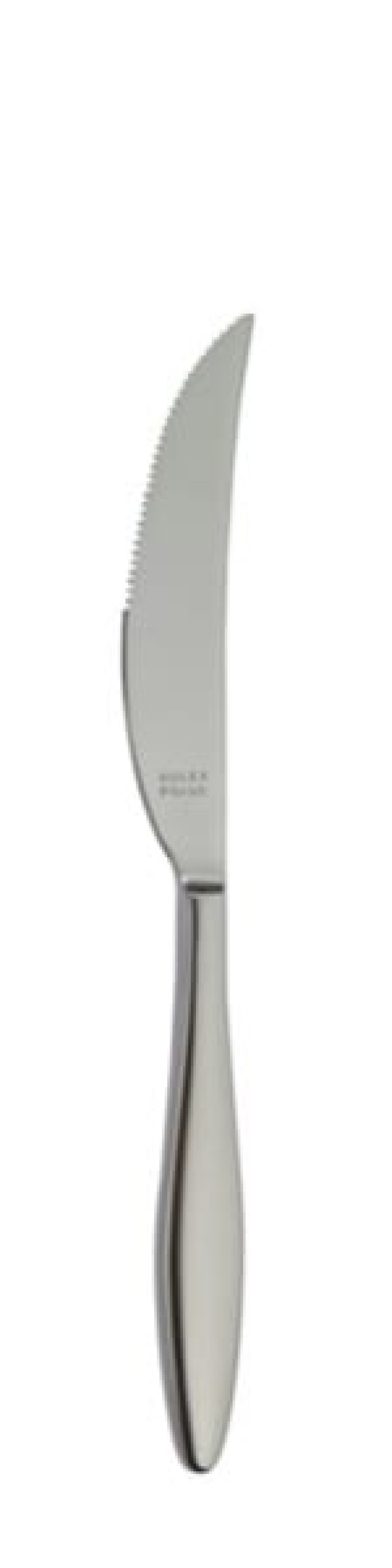 Terra Retro Kjøttkniv 239 mm - Solex i gruppen Borddekking / Bestikk / Kniver hos The Kitchen Lab (1284-21663)