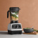 Blender, Explorian E520, hvit - Vitamix