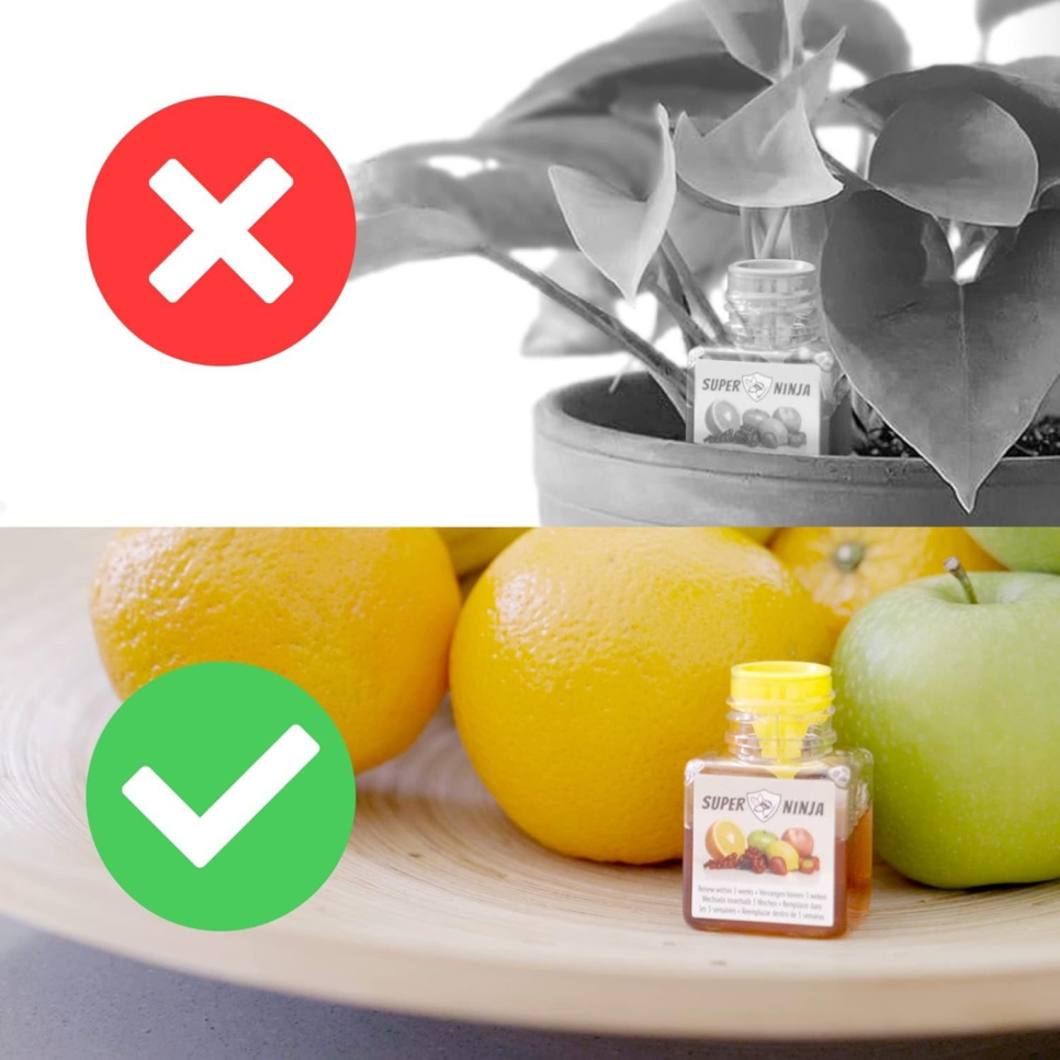 Fruktfluefelle - Super Ninja Fruktfluefelle - Super Ninja