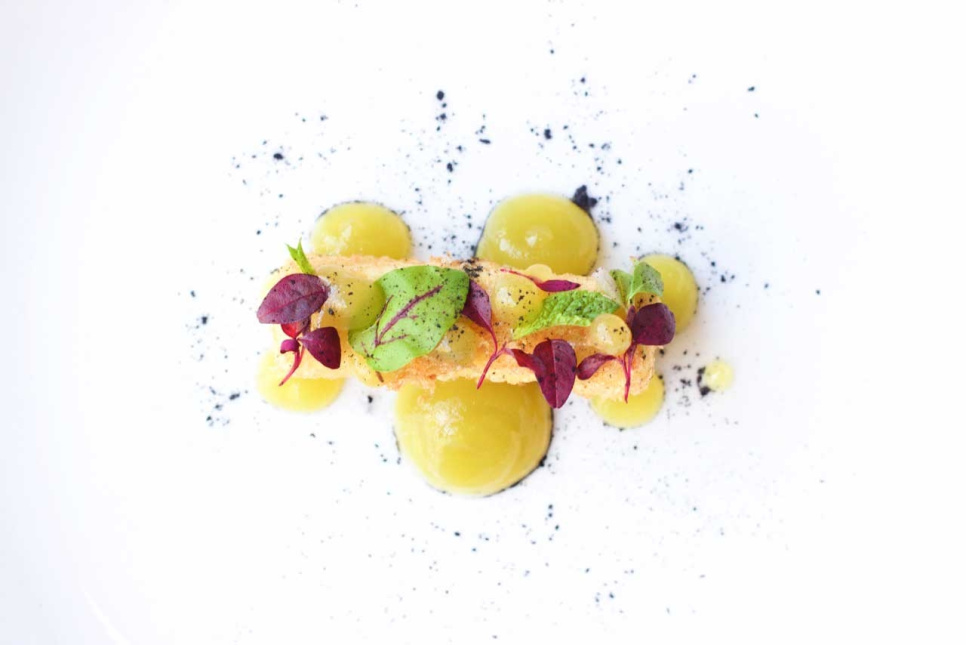 Sitronsyre (E330) - The Kitchen Lab Sitronsyre (E330) - The Kitchen Lab