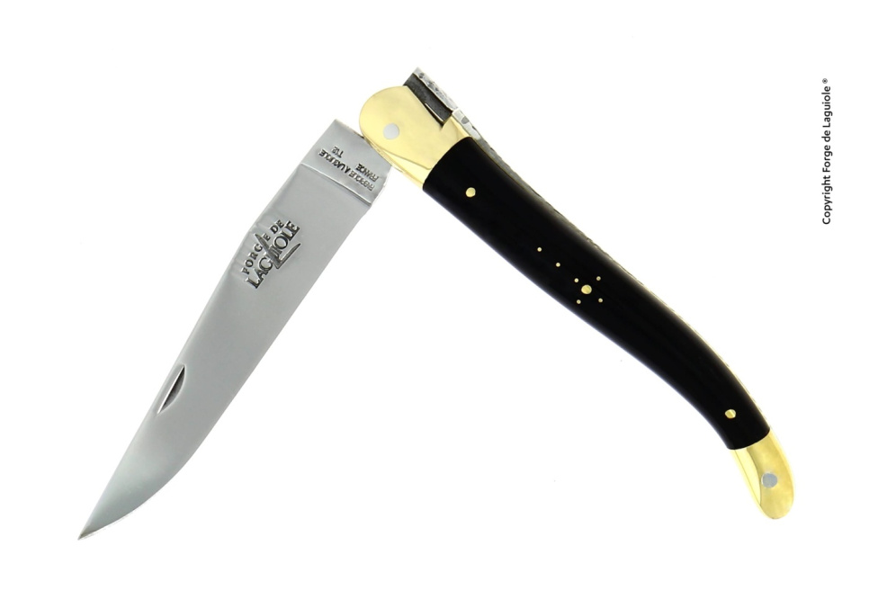 Kniv med foldeblad - svart horn - Forge de Laguiole i gruppen Borddekking / Bestikk / Kniver hos The Kitchen Lab (1446-24427)
