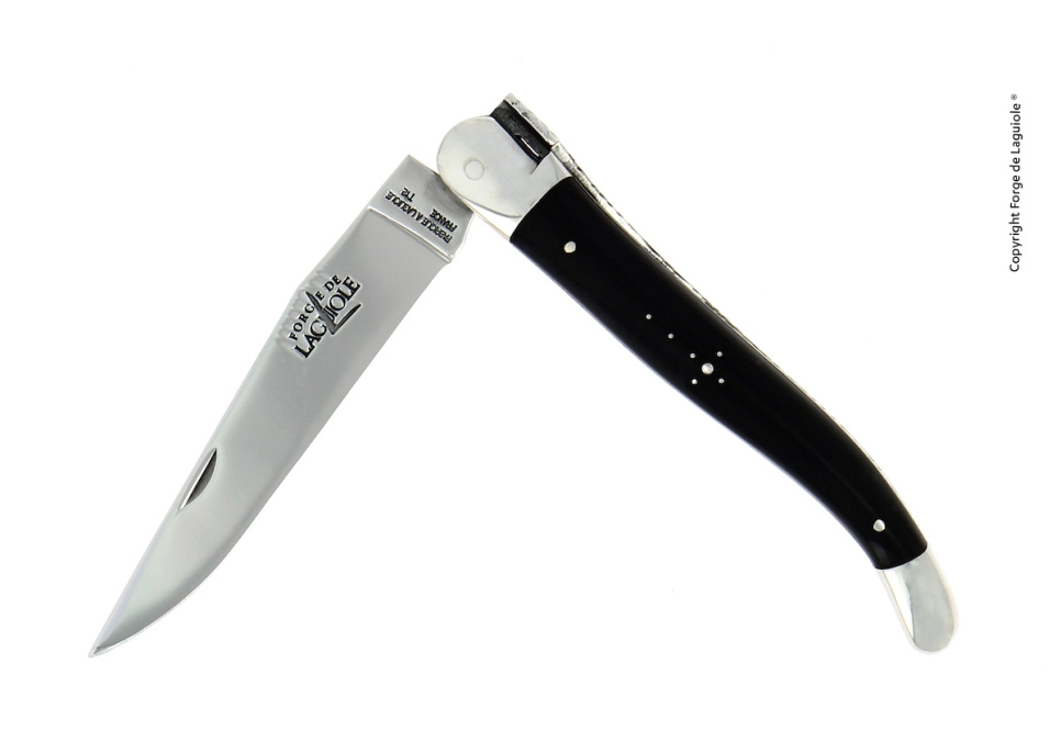 Foldekniv, 12 cm, mørkt hornskaft, polert, Tradition - Forge de Laguiole i gruppen Borddekking / Bestikk / Kniver hos The Kitchen Lab (1446-32869)