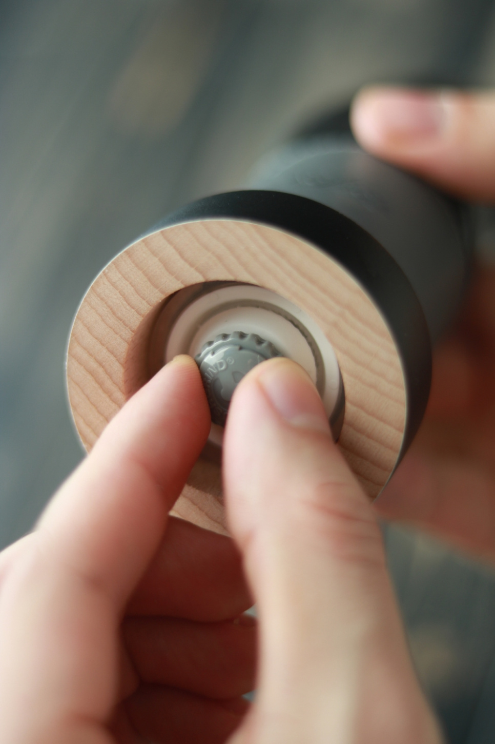 Saltkvern, Kohorn - Forge de Laguiole