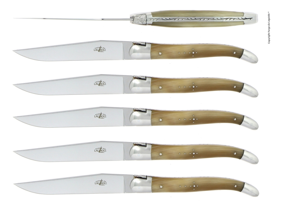 Seks kniver, lyst hornskaft, polert, Tradition - Forge de Laguiole i gruppen Borddekking / Bestikk / Kniver hos The Kitchen Lab (1446-32913)