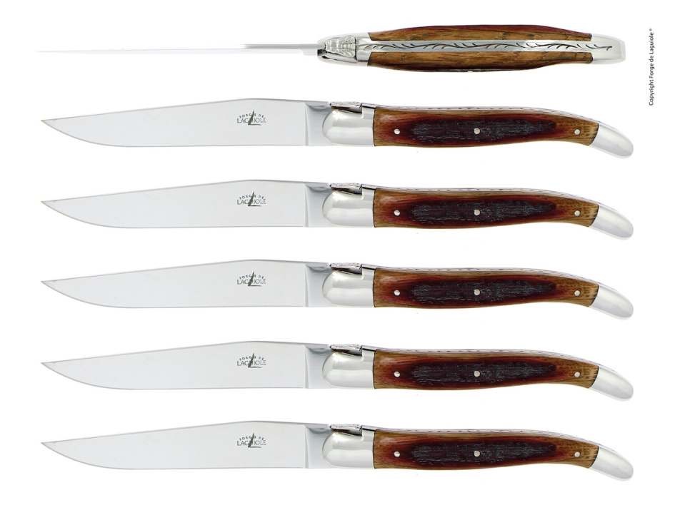 Seks kniver, håndtak i eiketre, polert, Tradition - Forge de Laguiole i gruppen Borddekking / Bestikk / Kniver hos The Kitchen Lab (1446-32918)