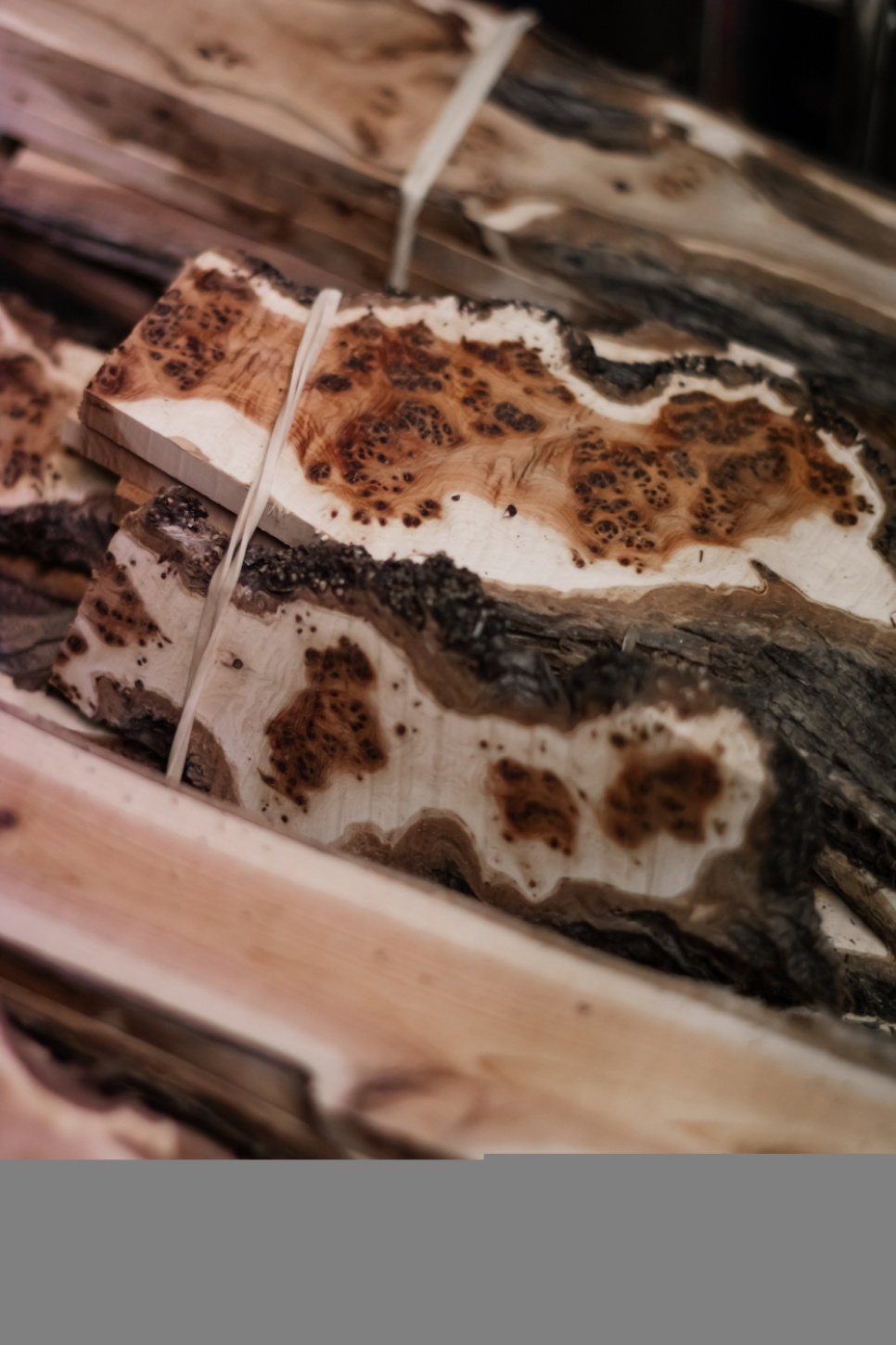 Sommelierkniv i tre fra Vines, damascenert med dekor, Collection - Forge de Laguiole