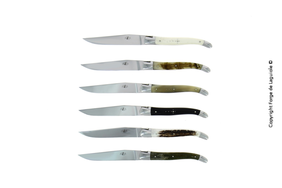 Seks kniver, skaft av ulike animalske materialer, polert, Tradition - Forge de Laguiole i gruppen Borddekking / Bestikk / Kniver hos The Kitchen Lab (1446-32983)