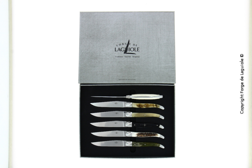 Seks kniver, skaft av ulike animalske materialer, polert, Tradition - Forge de Laguiole