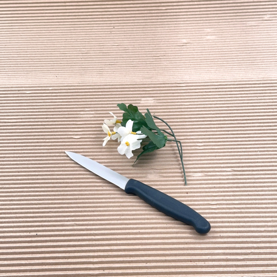 Den klassiske lille skrellkniven med svart plasthåndtak, 10 cm - The Kitchen Lab