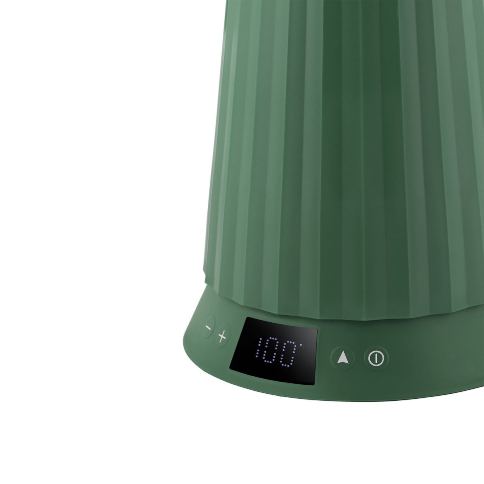 Vannkoker med temperaturkontroll, Plissé, Grønn - Alessi