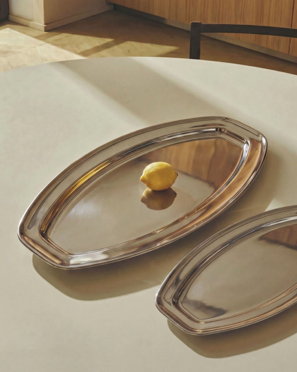 Fiskefat i rustfritt stål, 55 cm - Alessi