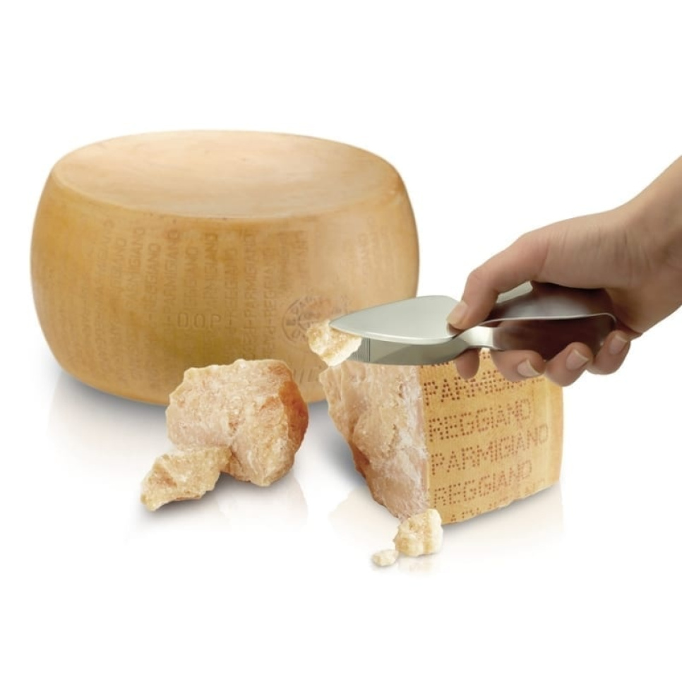 Parmesan kniv/tang - I GENIETTI Parmesan kniv/tang - I GENIETTI