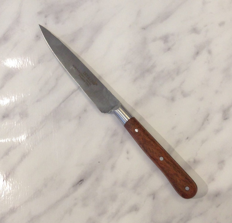 Kjøttkniv/Allbrukskniv 10 cm - Déglon i gruppen Matlaging / Kjøkkenkniver / Allsidige kniver hos The Kitchen Lab (1525-14224)