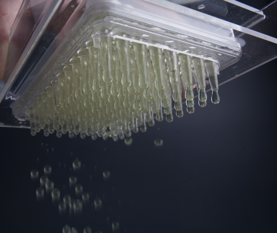 Kaviarboks for molekylær matlaging - 100% Chef