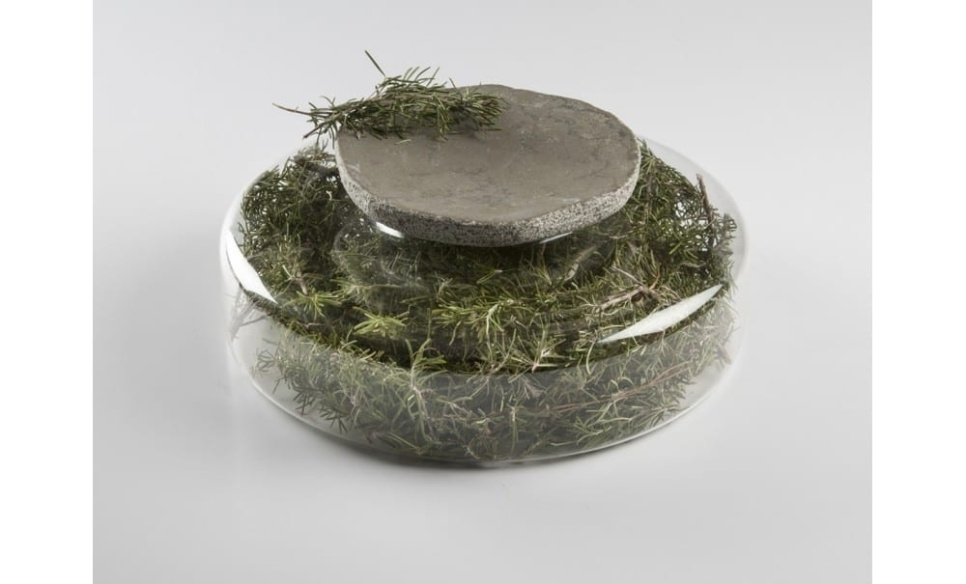 Advance Scene, serveringsfat av borosilikatglass - 100% Chef Advance Scene, serveringsfat av borosilikatglass - 100% Chef