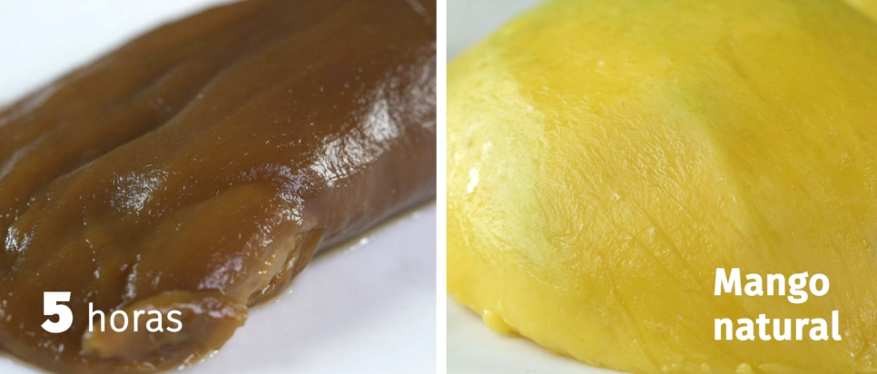 OCOO PRO, dobbel trykkoker - OCOO