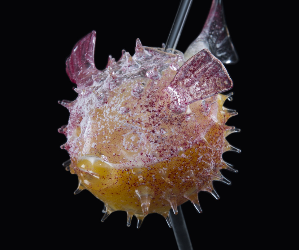 Cocktailglass, Fugu - 100% Chef Cocktailglass, Fugu - 100% Chef