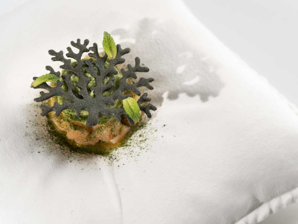 Silikonform for Tuille, Coral - 100% Chef Silikonform for Tuille, Coral - 100% Chef