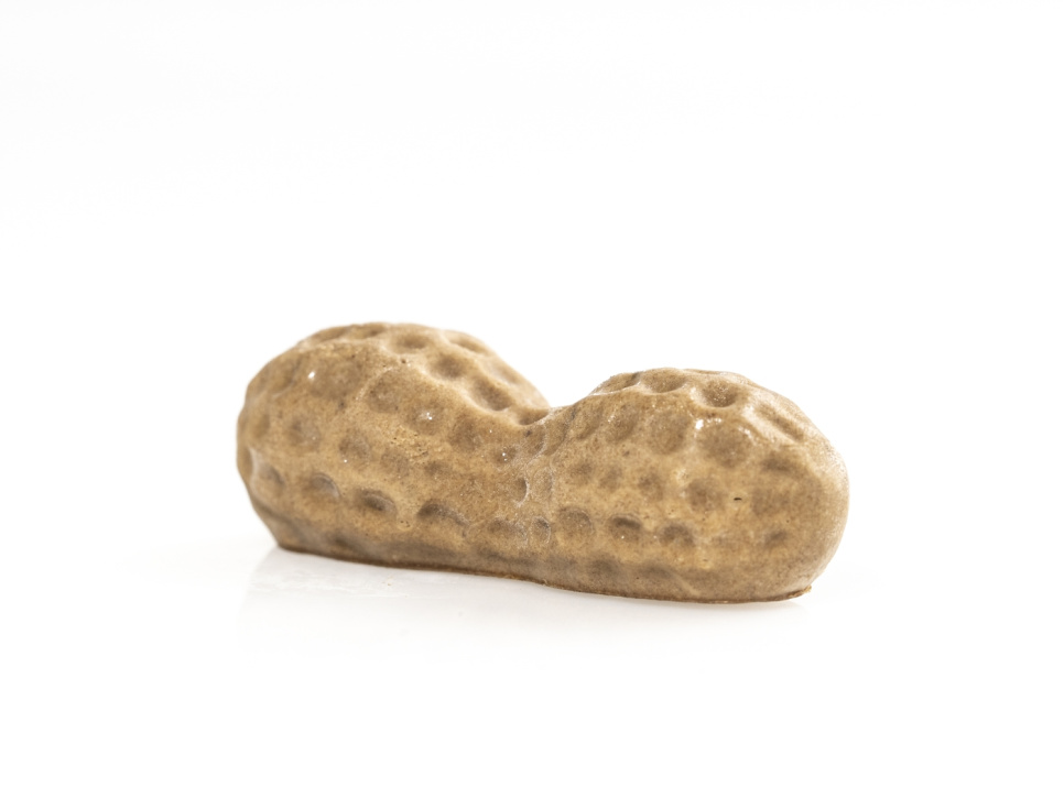 Silikonform for dekorasjon, Peanøtt - 100% Chef