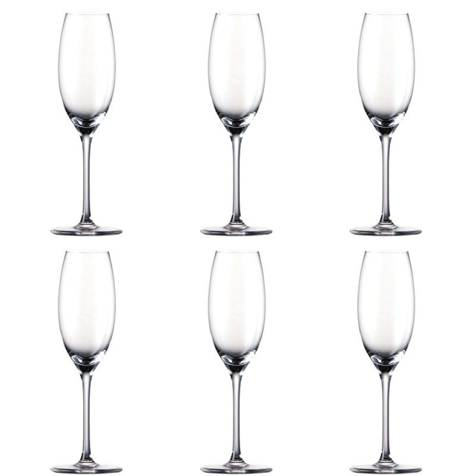 Champagnefløyte, Thomas DiVino, 6 stk. i gruppen Bar og Vin / Vinglass / Champagneglass hos The Kitchen Lab (1798-12739)