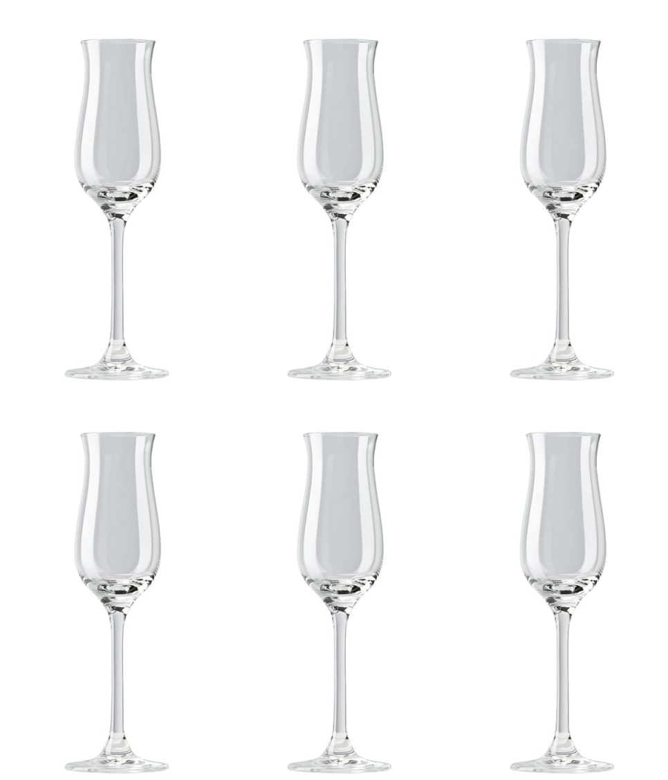 Grappaglass, Thomas DiVino, 6 stk. i gruppen Borddekking / Glass / Akevittglass hos The Kitchen Lab (1798-14854)