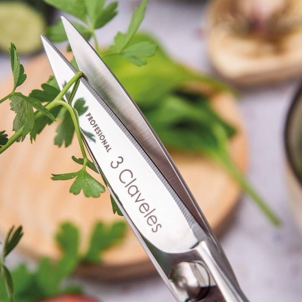 Kjøkkensaks 20 cm, Class - 3 Claveles