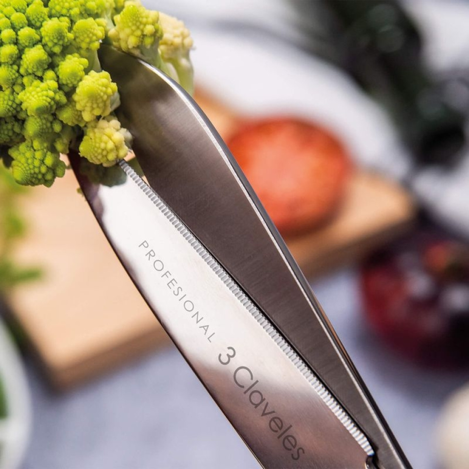 Kjøkkensaks i rustfritt stål, Professional - 3 Claveles - 20 cm