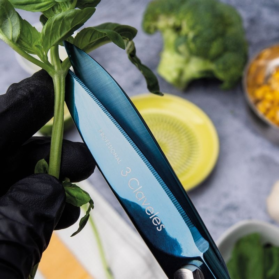 Kjøkkensaks, Ocean - 3 Claveles