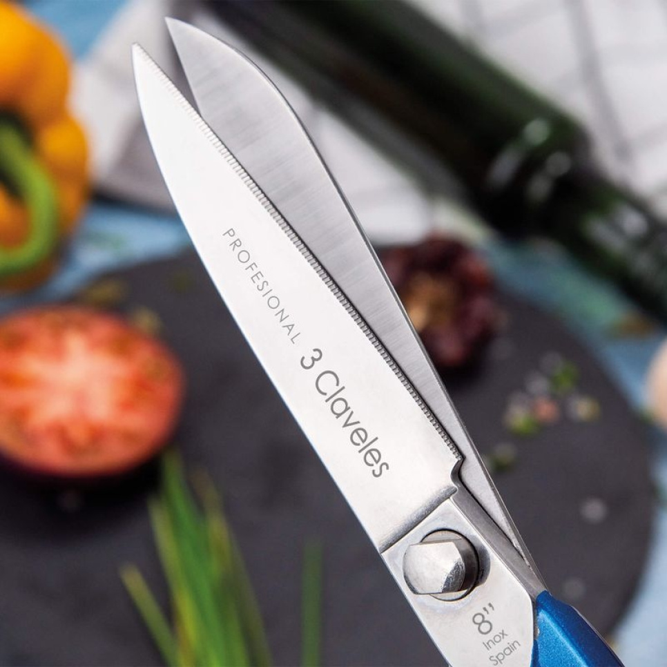 Profesjonell kjøkkensaks i rustfritt stål, Blå - 3 Claveles