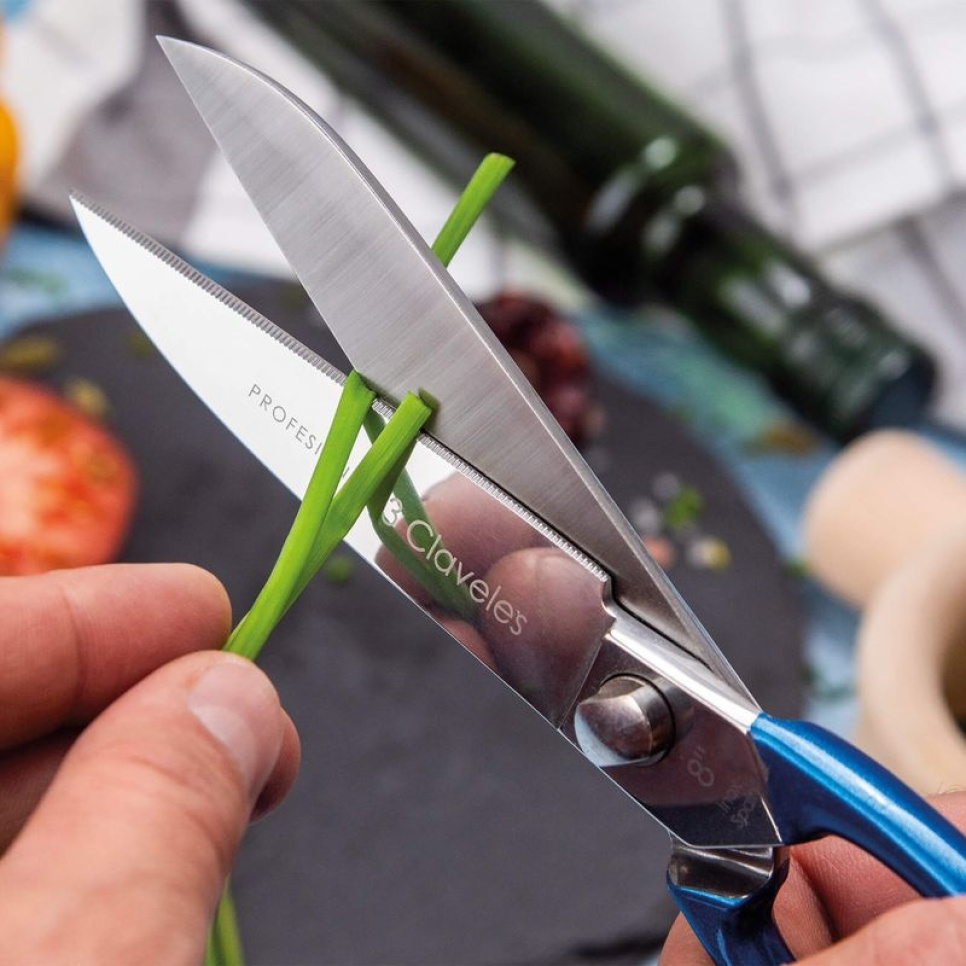 Profesjonell kjøkkensaks i rustfritt stål, Blå - 3 Claveles