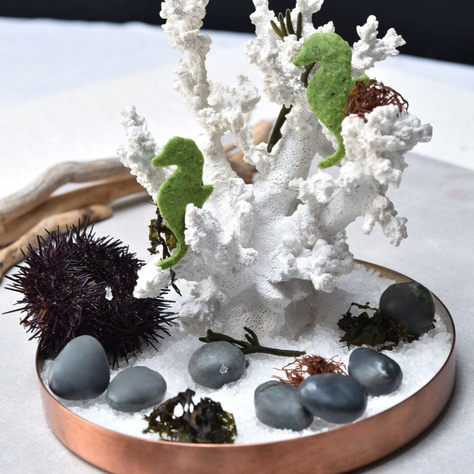 Silikonform, Stein, Gourmand – Pavoni